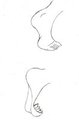 Foot and Paw Study by cantebury