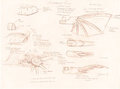 Delphine's steampunk tailtip reference sheet by Dofain