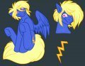 [COM] Storm  by Sequin