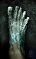 Aqua Sapiens / Photomanipulation