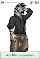 Character questions: Milo