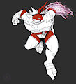 ROT Raph!