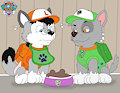 Paw patrol save a dinner