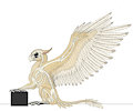gryph anatomy bone+feathers by PlagueLizard
