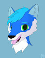 A random headshot by MagicWolfy
