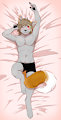 Liu dakimakura~ -NotMyArt- by ImpButt
