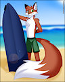 Surf Time