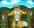 Farm Boy Fox =3 by JCFox