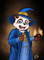 Panda wizard by MokkiPanda