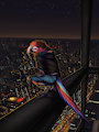 Wistful View