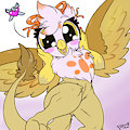 Lacewing