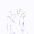 Toes Test (animated) by Animancer