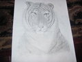 Pencil + Paper + 6 hour drive  by Stratiger
