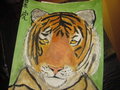 watercolor by Stratiger
