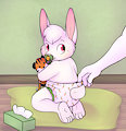 Diaper checking