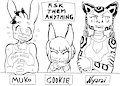 FFC-Special : Ask them anything!