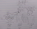 Height Chart