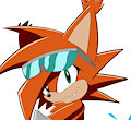 Meyk Sonic Riders Attire by Meyk
