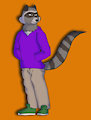 The Silent Raccoon