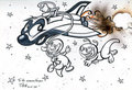 Booster, Karpour and a Space Ferret