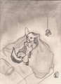 Fennec Sheets by XombieFox