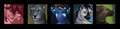 Icon Requests 2