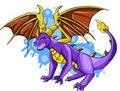 legendary purple dragon by werewoof