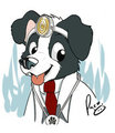 Doc Dog
