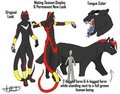 My WOWC-SV Version of Shadow the Hedgehog by ieshad