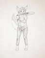 Midzuki the fox