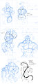 More Stheno research