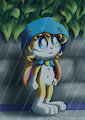 Summer Rain