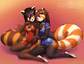2017 Commission for Xuelang