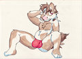 Bulge