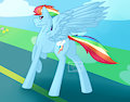 Dashie