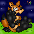 Fox feets