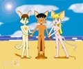 Swift, Shine and Nice in the Beach