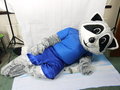 Rabid Raccoon Fursuit poses