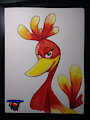 Kazooie- Crayola Signature Markers