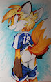 Traditional Cloud by VoidShark