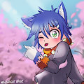 Shota Midnight