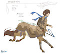 Centaur OC by FluffyXai