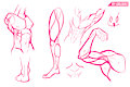 Anatomy Practice by Spaicy