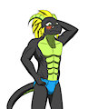 FuzeDragon
