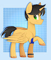 Swift Bow