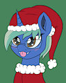Christmas Nova
