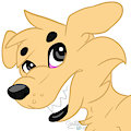 T : Shifty Dingo