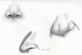 College Portfolio - Nose Practice