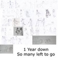 One Year