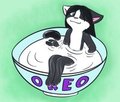 Ice Cold Miiiilk >.<;